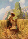 Wyeth Newell Robinson Crusoe 1920 I reaped it my way A4 Photo Print