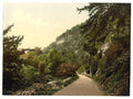 Wyndcliff Chepstow Vintage A4 Photo Print