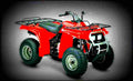Yamaha BearTracker 2000 2 motorbike A4 Photo Print