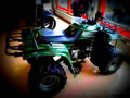 Yamaha BearTracker 2000 6 motorbike A4 Photo Print