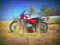 Yamaha DT 125 E 1976 3 motorbike A4 Photo Print