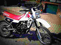 Yamaha DT 125 LC 1982 2 motorbike A4 Photo Print