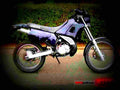 Yamaha DT 125 R 1997 1 motorbike A4 Photo Print