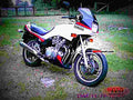 Yamaha FJ 1100 (reduced effect) 1986 2 motorbike A4 Photo Print