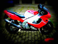 Yamaha FJ 1200 (reduced effect) 1991 5 motorbike A4 Photo Print