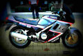 Yamaha FZ 750 1992 2 motorbike A4 Photo Print