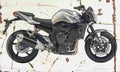 Yamaha FZ1 2006 Aged Vintage A4 Photo Print