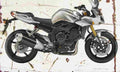 Yamaha FZ1 Fazer 2006 Aged Vintage A4 Photo Print