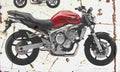 Yamaha FZ6 2004 Aged Vintage A4 Photo Print