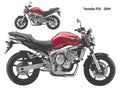 Yamaha FZ6 2004 motorbike A4 Photo Print