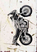 Yamaha FZ6 Fazer 2004 Aged A4 Photo Print