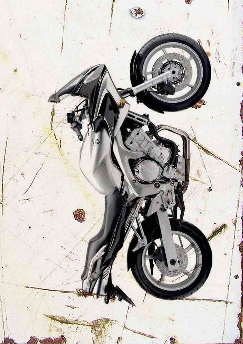 Yamaha FZ6 Fazer 2004 Aged A4 Photo Print