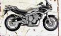 Yamaha FZ6 Fazer 2004 Aged Vintage A4 Photo Print
