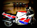 Yamaha FZR 1000 Genesis (reduced effect) 1987 2 motorbike A4 Photo Print