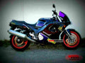 Yamaha FZR 1000 Genesis (reduced effect) 1988 2 motorbike A4 Photo Print