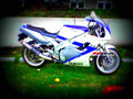 Yamaha FZR 1000 (reduced effect) 1989 4 motorbike A4 Photo Print