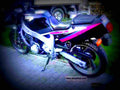 Yamaha FZR 600 1989 6 motorbike A4 Photo Print