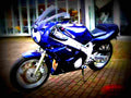 Yamaha FZR 600 1991 1 motorbike A4 Photo Print