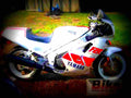 Yamaha FZR 750 Genesis (reduced effect) 1988 1 motorbike A4 Photo Print