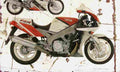 Yamaha FZR1000 1992 Aged Vintage A4 Photo Print