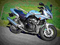 Yamaha FZS 600 N 2000 1 motorbike A4 Photo Print