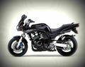 Yamaha FZS 600 N 2000 2 motorbike A4 Photo Print