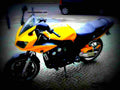 Yamaha FZS 600 S 2000 5 motorbike A4 Photo Print