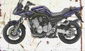 Yamaha FZS1000 Fazer 2003 Aged Vintage A4 Photo Print