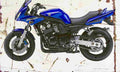 Yamaha FZS600 Fazer 2003 Aged Vintage A4 Photo Print