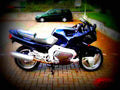 Yamaha GTS 1000 1996 2 motorbike A4 Photo Print
