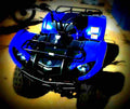 Yamaha Grizzly 125 A 2005 4 motorbike A4 Photo Print