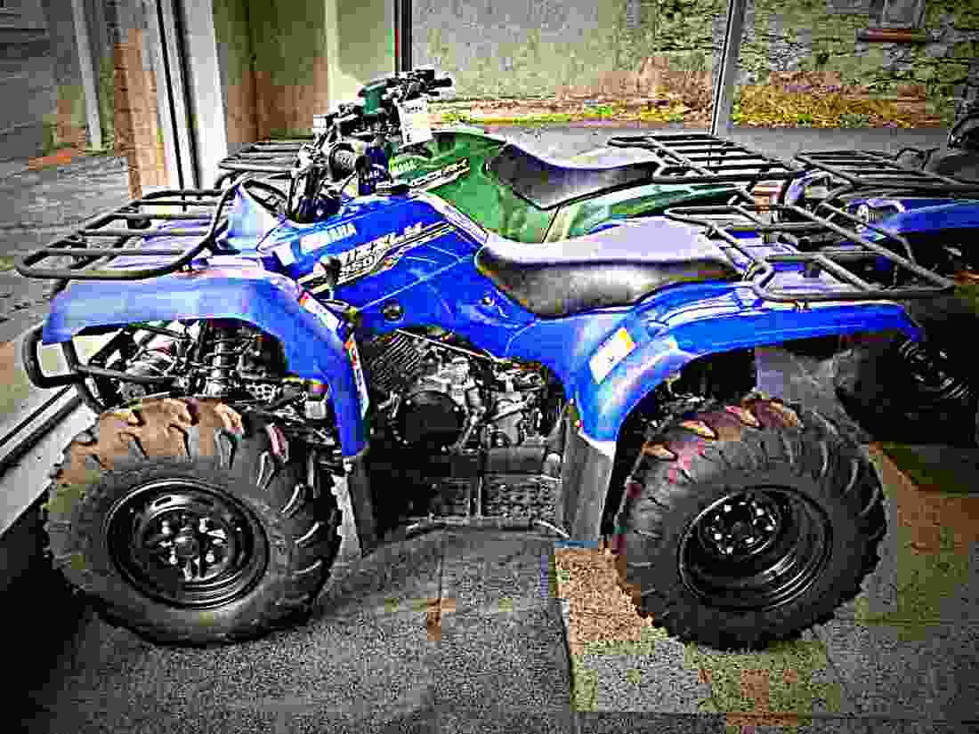 Yamaha Grizzly 350 2WD 2017 2 motorbike A4 Photo Print