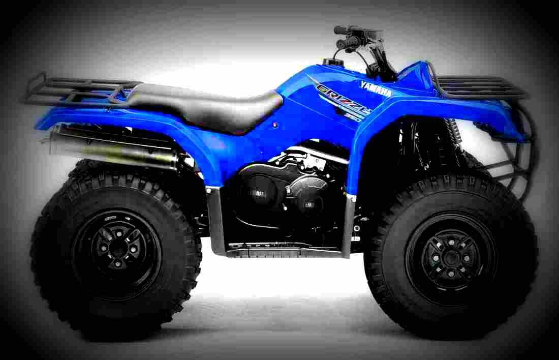 Yamaha Grizzly 350 2WD 2017 4 motorbike A4 Photo Print