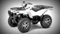 Yamaha Grizzly 450 EPS 2017 4 motorbike A4 Photo Print