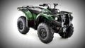 Yamaha Grizzly 450 IRS 2017 3 motorbike A4 Photo Print