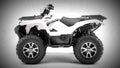 Yamaha Grizzly 700 2017 1 motorbike A4 Photo Print