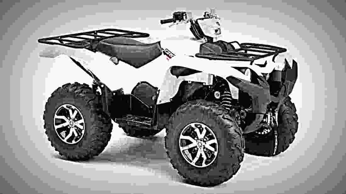 Yamaha Grizzly 700 EPS 2017 2 motorbike A4 Photo Print