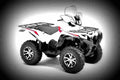 Yamaha Grizzly EPS LE 2018 4 motorbike A4 Photo Print