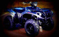 Yamaha Kodiak 700 EPS 2017 1 motorbike A4 Photo Print