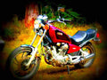 Yamaha Mint 1984 2 motorbike A4 Photo Print
