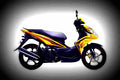 Yamaha Nouvo SX 125cc 1 motorbike A4 Photo Print