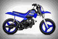 Yamaha PW50 2019 1 motorbike A4 Photo Print