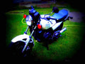 Yamaha RD 250 1980 1 motorbike A4 Photo Print