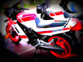 Yamaha RD 250 (reduced effect) 1981 4 motorbike A4 Photo Print
