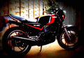 Yamaha RD 350 F 1985 2 motorbike A4 Photo Print