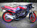 Yamaha RD 350 F 1990 5 motorbike A4 Photo Print