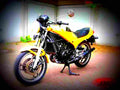 Yamaha RD 350 F (reduced effect) 1985 5 motorbike A4 Photo Print