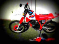 Yamaha RD 350 N 1990 1 motorbike A4 Photo Print