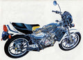 Yamaha RD350 cutaway A4 Photo Print
