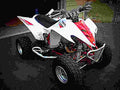 Yamaha Raptor 350 2005 5 motorbike A4 Photo Print